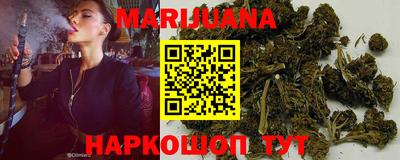 прущие грибы Камышлов