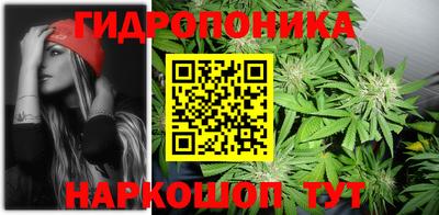 прущие грибы Камышлов