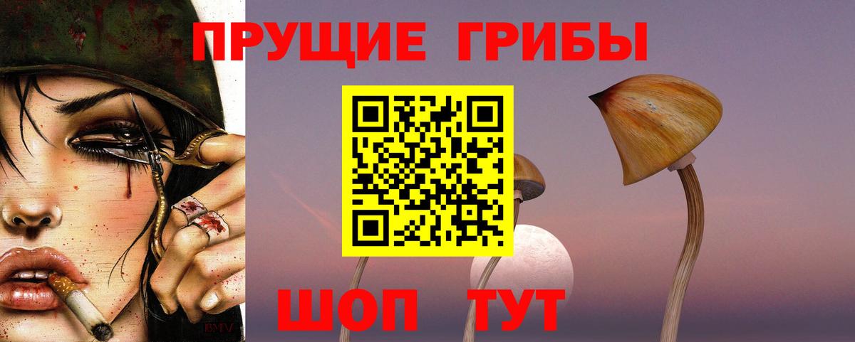 Лениногорск  Псилоцибиновые грибы Psilocybe  Вход с VPN  Галлюциногенные грибы MAGIC MUSHROOMS 